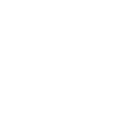 AI LLM Trained on Your Brand, Industry & Trends